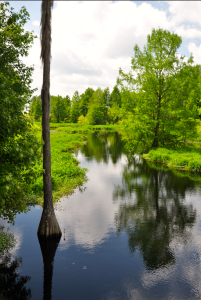 Cross Creek