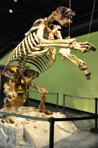Giant Ground Sloth