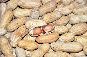 p-nuts green or raw