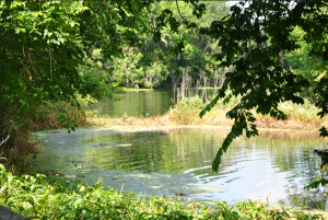 Ponce de Leon State Park 2