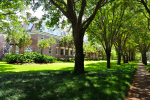 Steson University Main Road