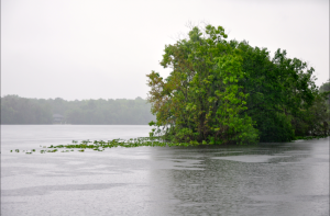 Suwannee River