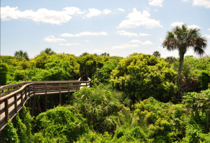 Turtle Mound walkway