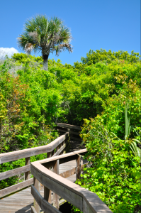 Walkway