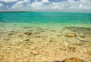 Bahia Honda Beach