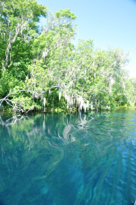Silver River 2