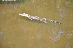 Sie sind ueberall! :-)