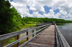 Boardwalk 2