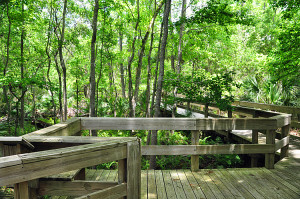 Boardwalk 2
