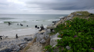 Gulf beach 2