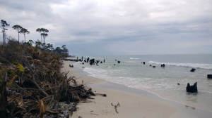 Gulf beach 1
